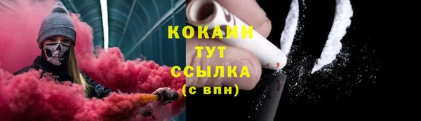 твердый Алексеевка