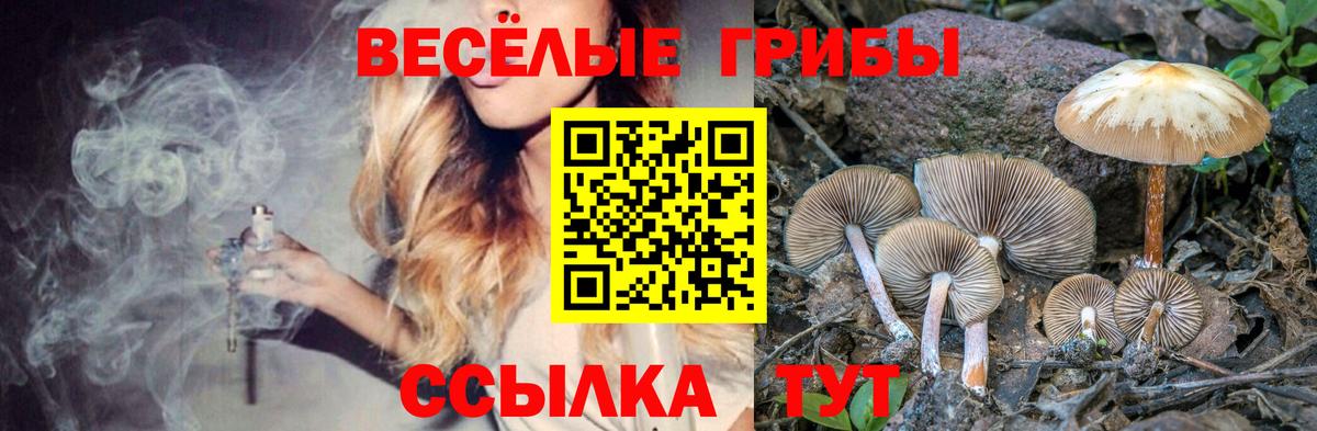 Псилоцибиновые грибы прущие грибы Евпатория
